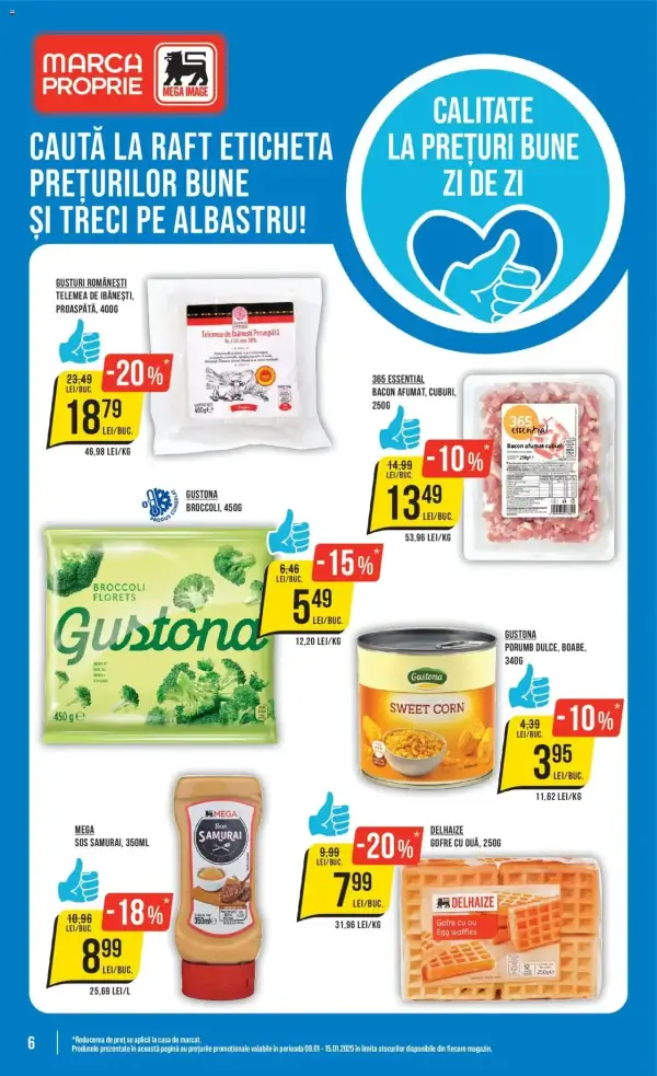 Pagina 6