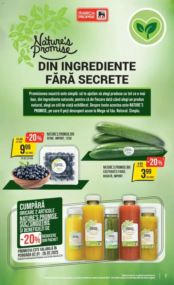 Pagina 7