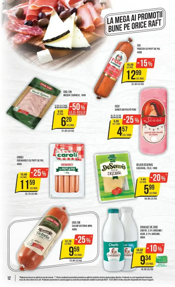 Pagina 12
