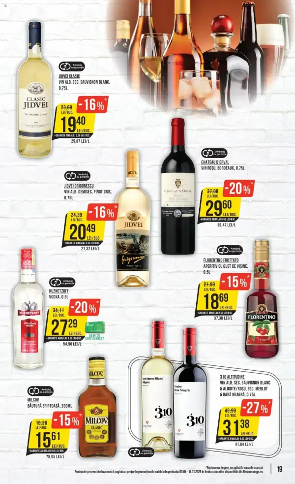Pagina 19