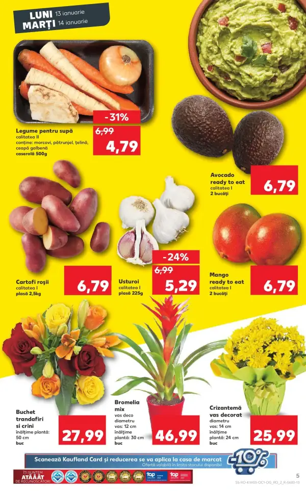 Pagina 5