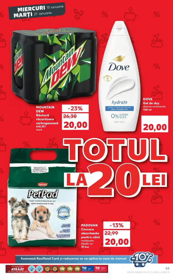 Pagina 53