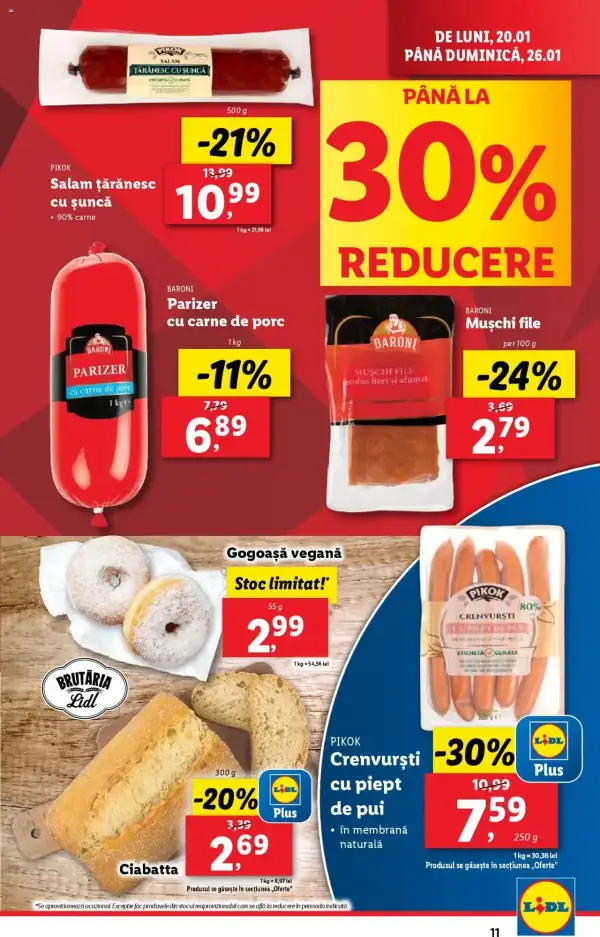 Pagina 11
