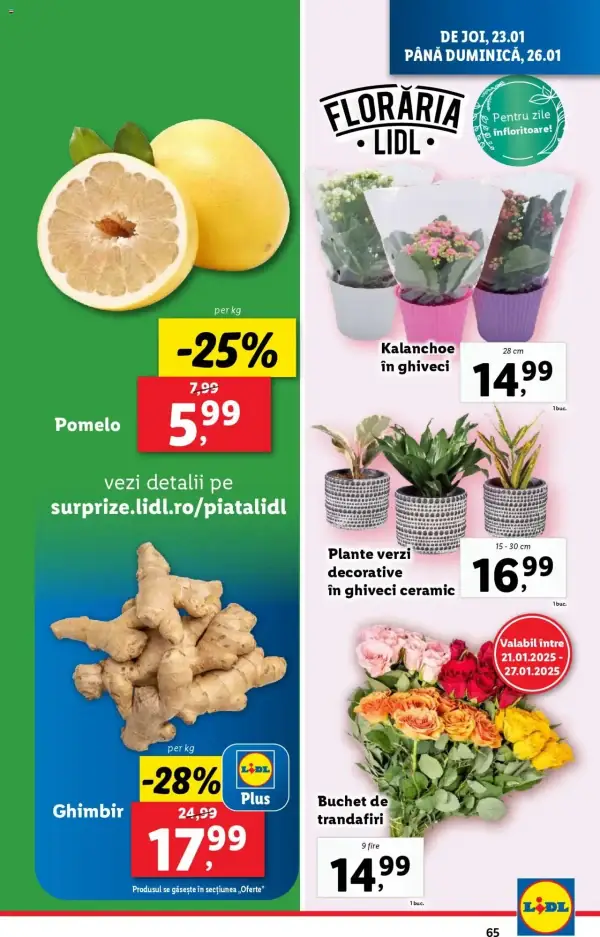 Pagina 65