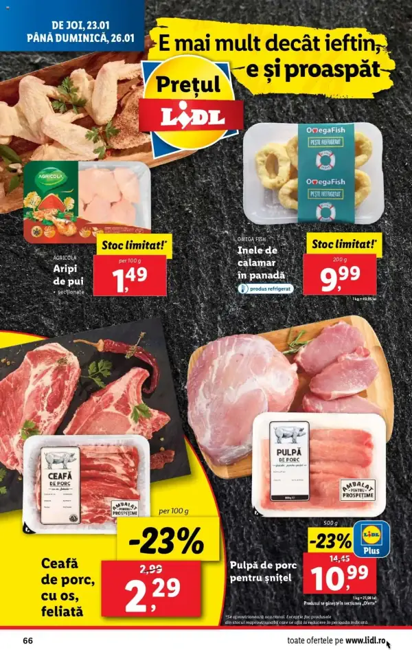 Pagina 66