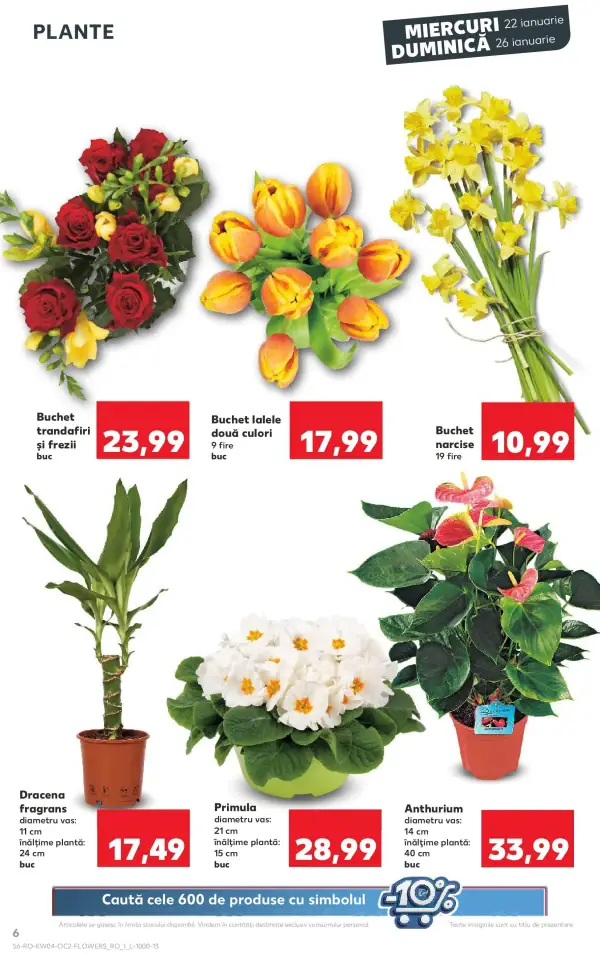 Pagina 6