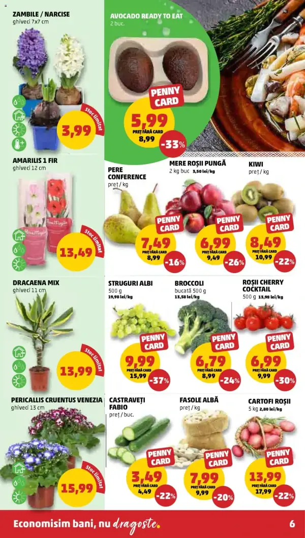 Pagina 6