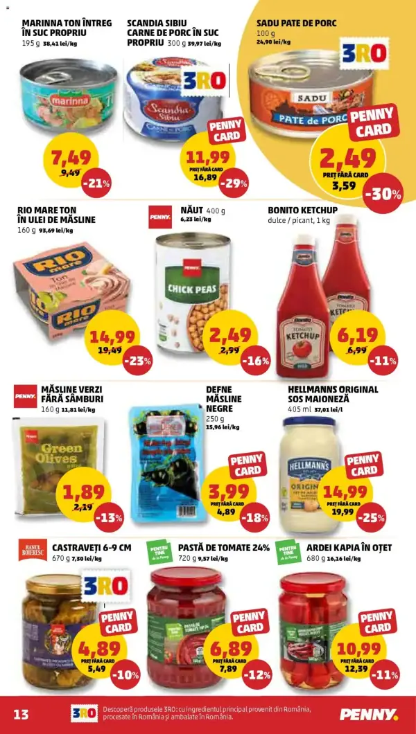 Pagina 13