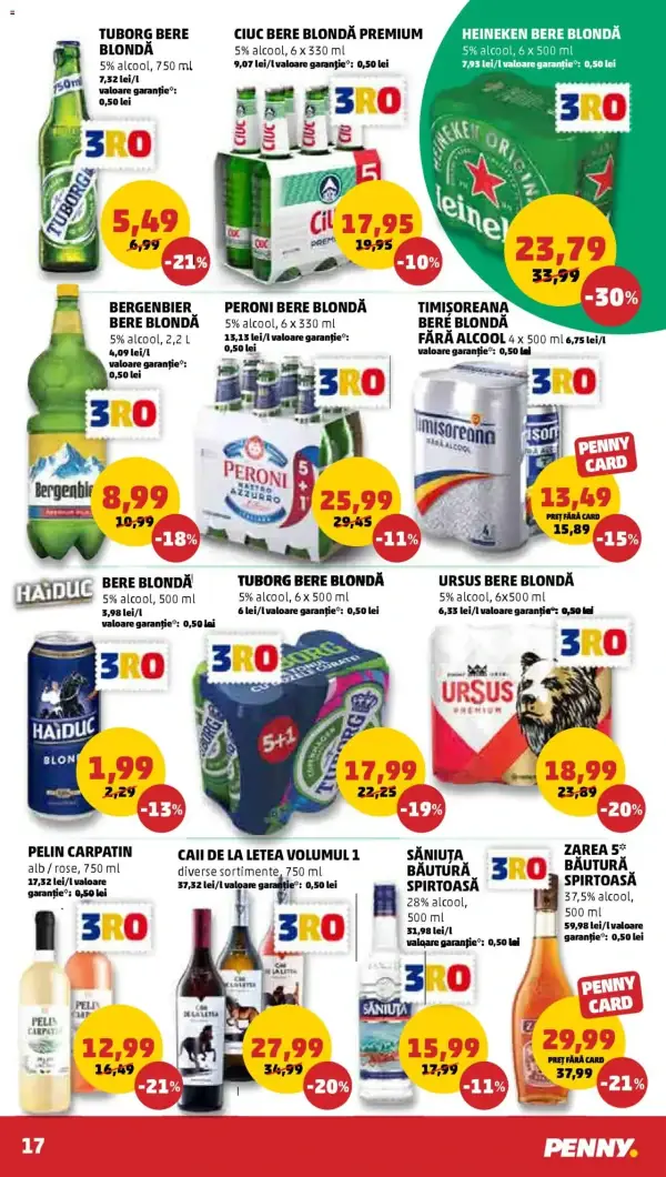 Pagina 17