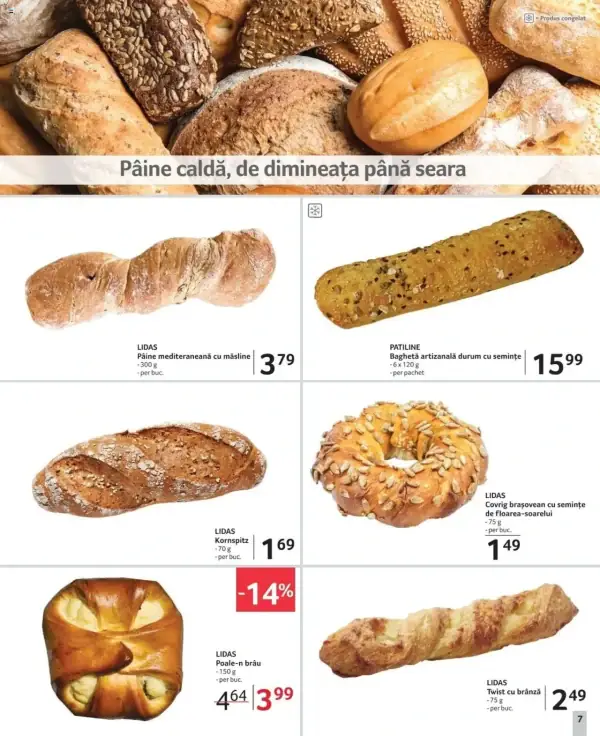 Pagina 7