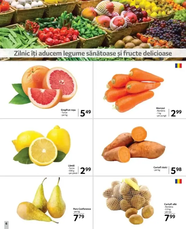 Pagina 6