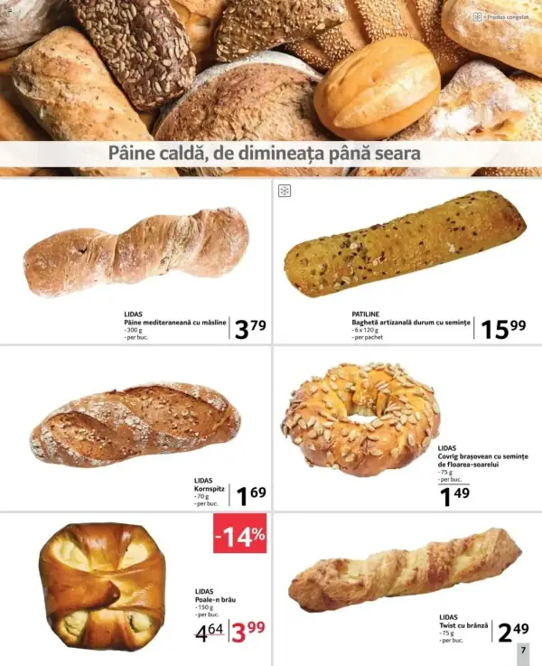 Pagina 7