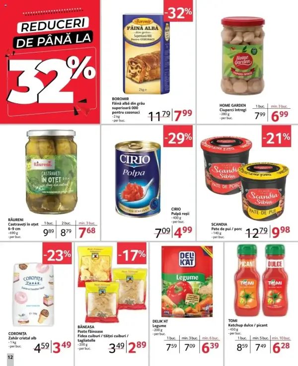 Pagina 12