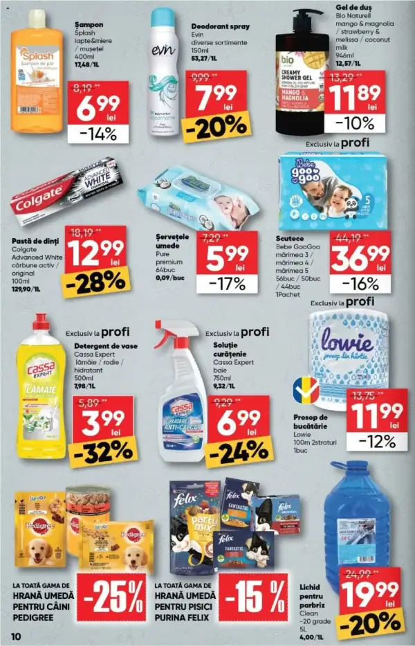Pagina 10
