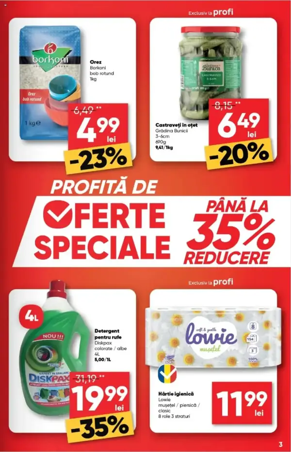 Pagina 3