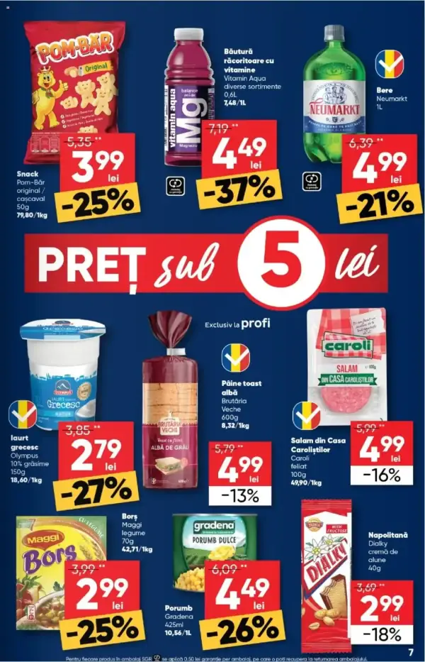 Pagina 7
