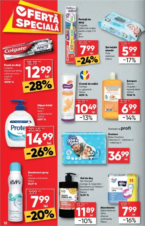 Pagina 12