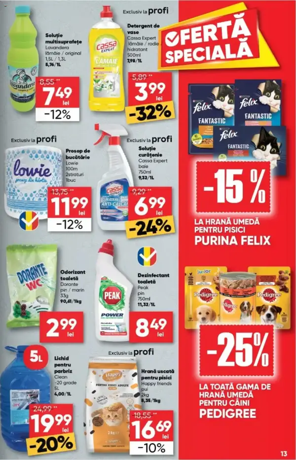 Pagina 13