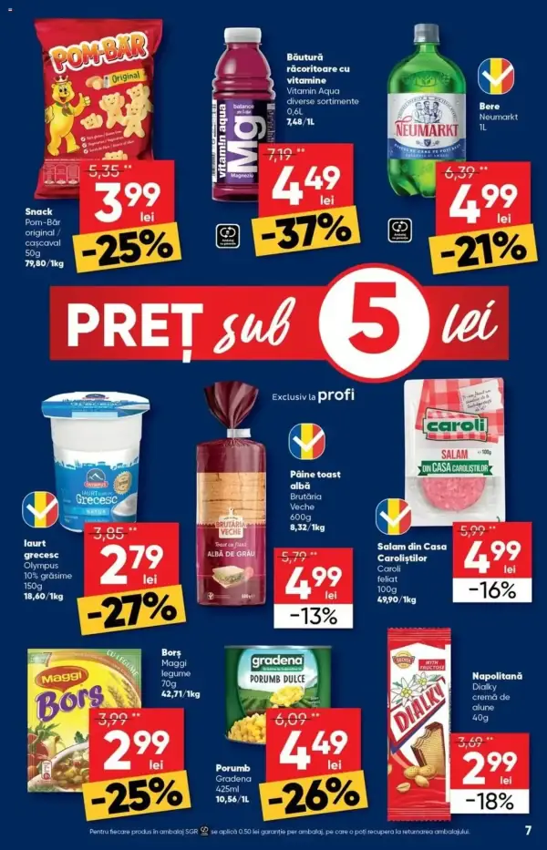 Pagina 7