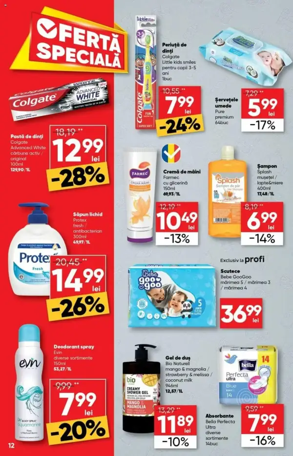 Pagina 12