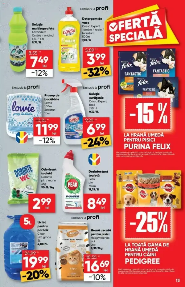 Pagina 13
