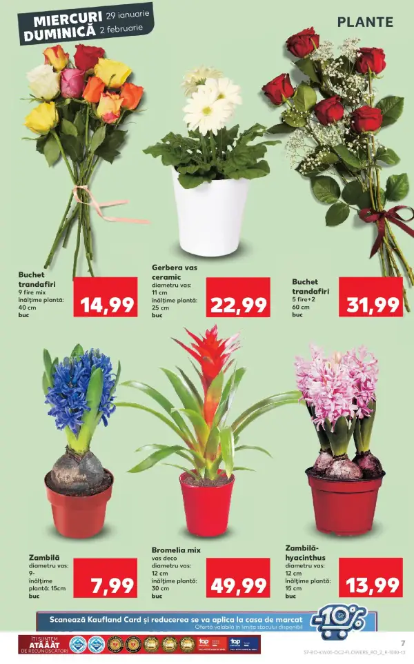 Pagina 7