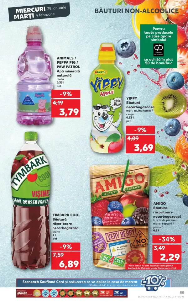 Pagina 55