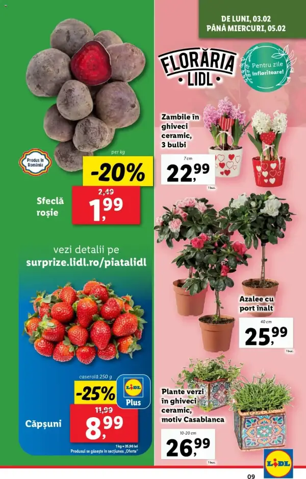 Pagina 9