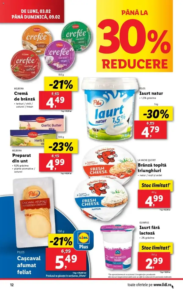 Pagina 12