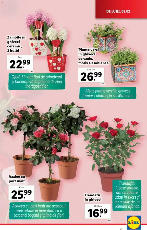 Pagina 51