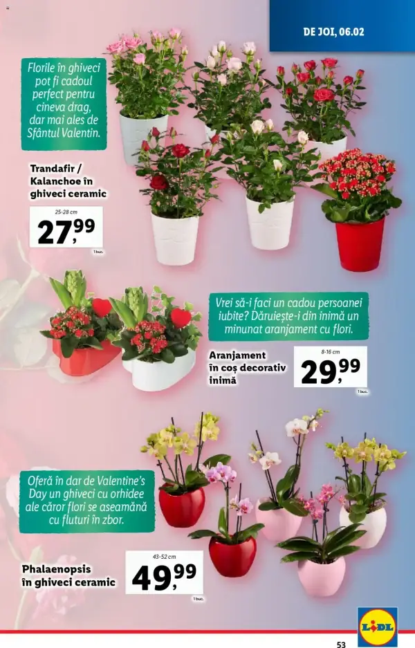 Pagina 53