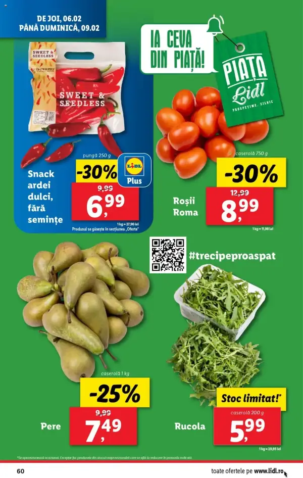 Pagina 60