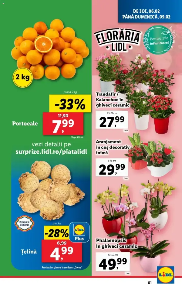Pagina 61