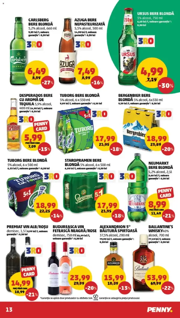 Pagina 13
