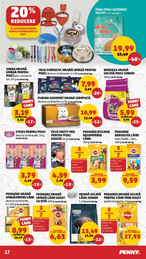 Pagina 17