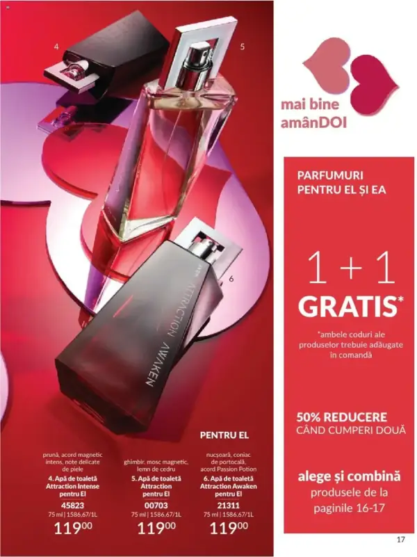 Pagina 17