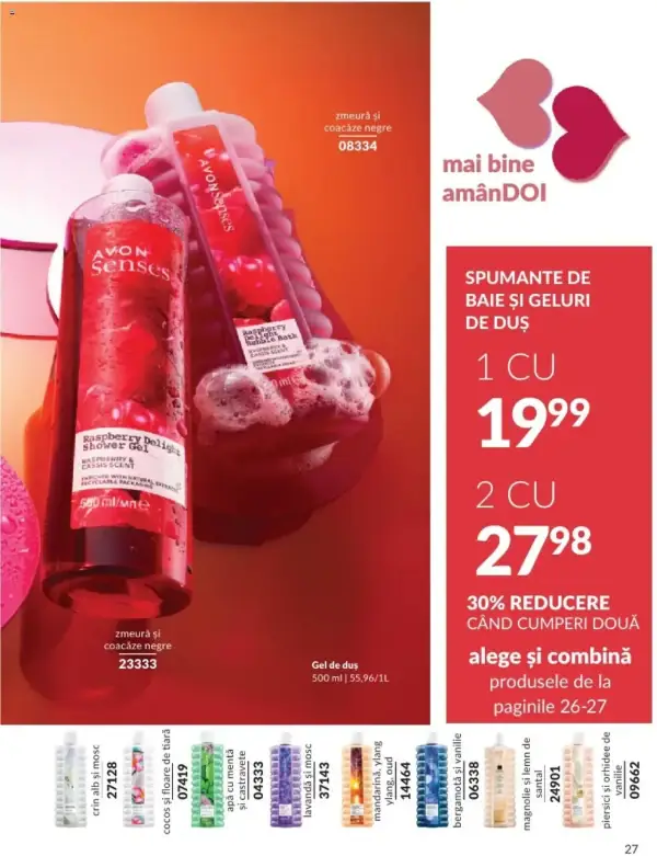 Pagina 27