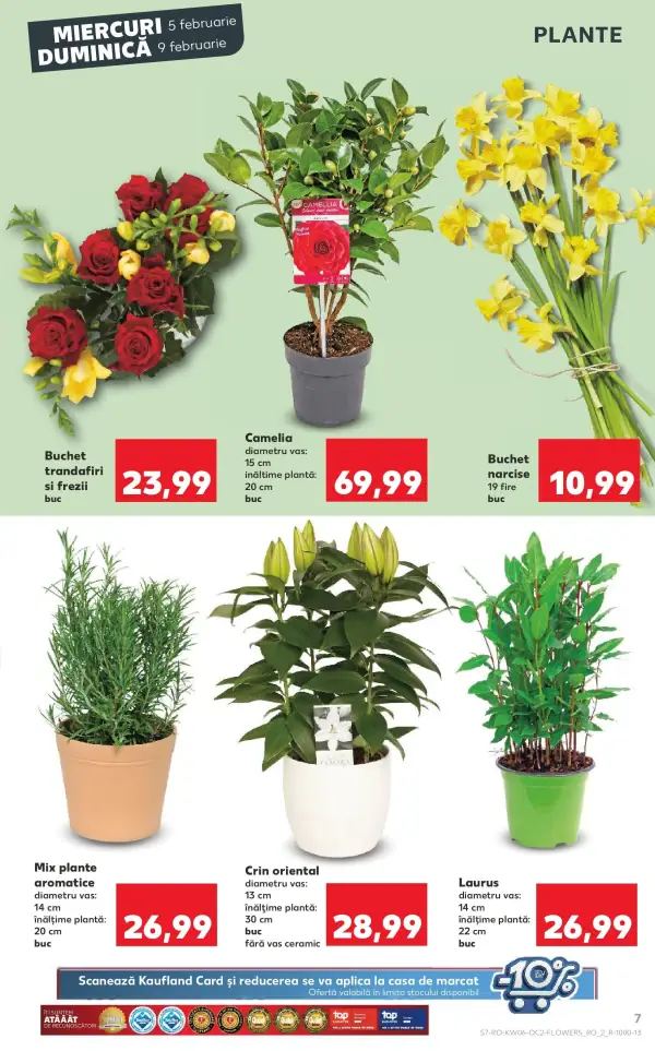 Pagina 7