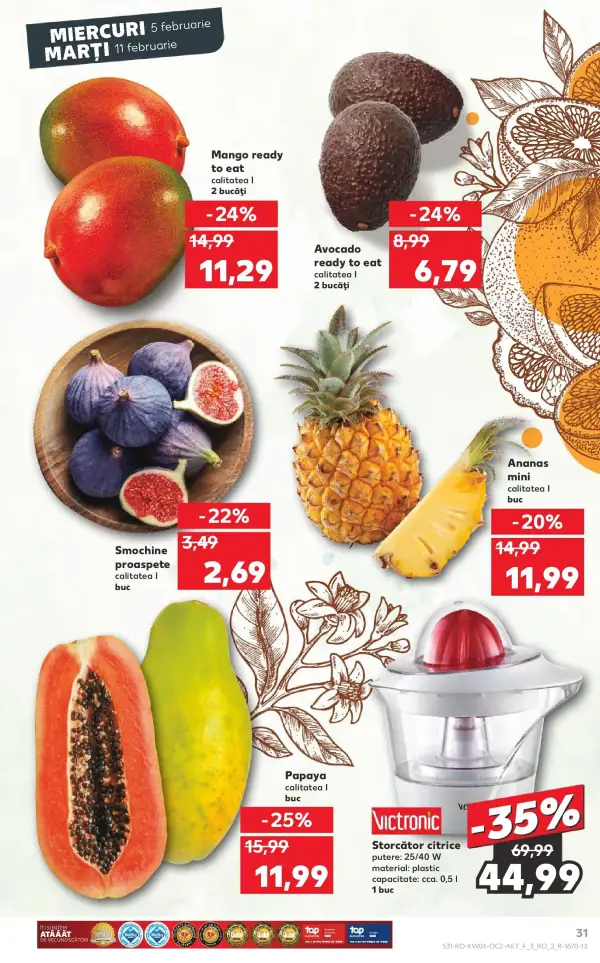Pagina 31