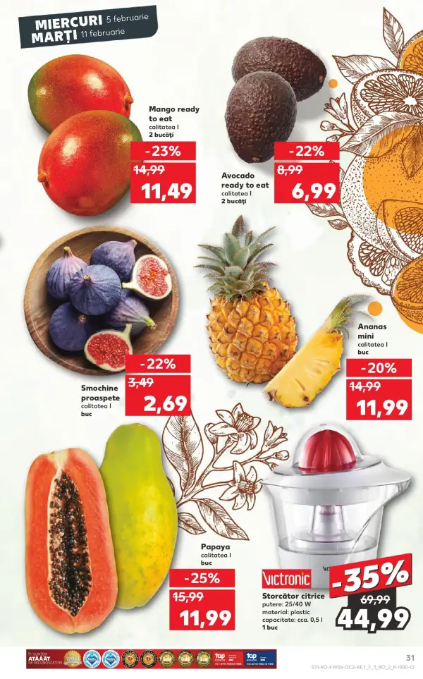 Pagina 31