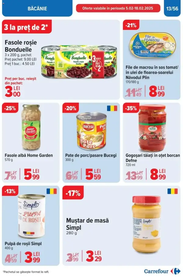 Pagina 13