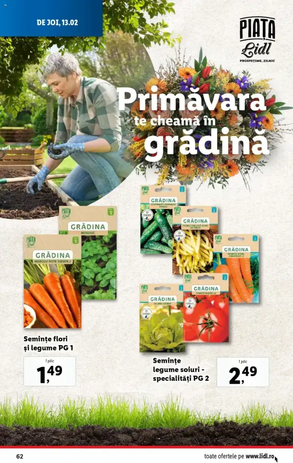 Pagina 62