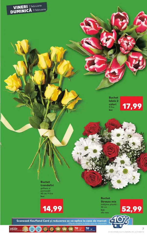 Pagina 7