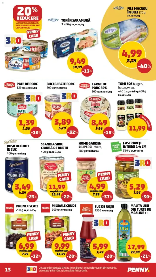 Pagina 13