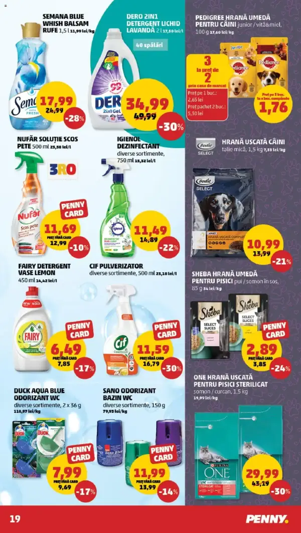 Pagina 19