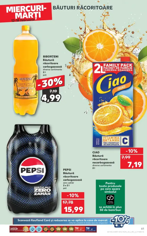 Pagina 61