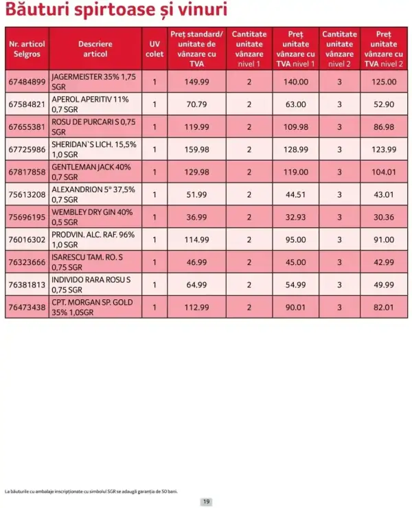 Pagina 19