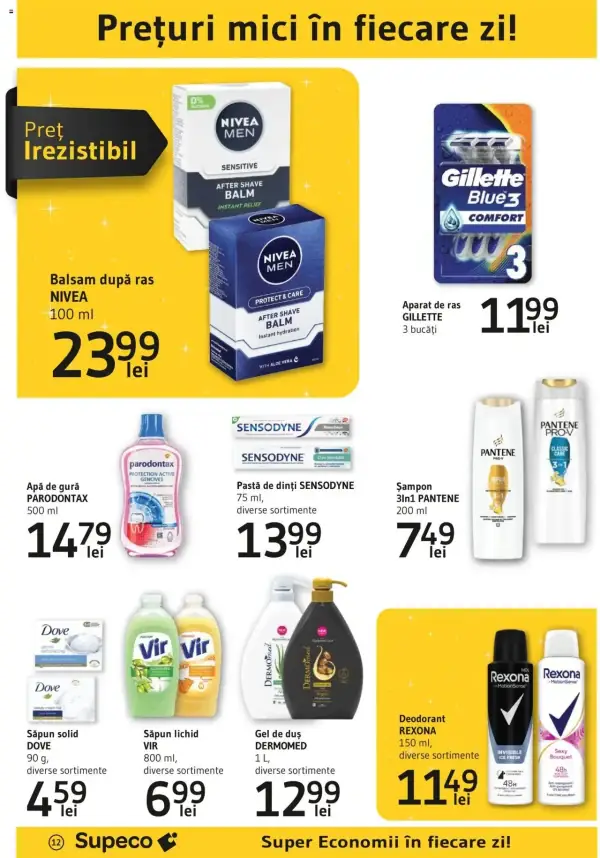 Pagina 12