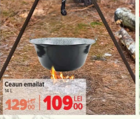Ceaun emailat 14 L
