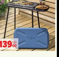 Carrefour Grătar portabil "Hyba" oțel 76.5 x 36 cm